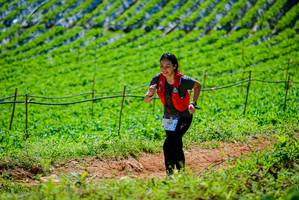 BIB: 1331
                            <button type="button" onclick="openModal(19163811)" class="btn btn-primary btn-sm float-right btn-popup" data-toggle="modal" data-target=".modal-high-quality">
                        <i class="fas fa-shopping-cart"></i> Add to Cart
                    </button>
                                            <button type="button" onclick="isThisMe(19163811, true)" class="btn btn-success btn-sm float-right btn-popup btn-isme hidden" data-toggle="tooltip" data-placement="bottom" title="นี่คือรูปของคุณใช่ไหม คลิกที่นี่เพื่อเอาเข้าอัลบั้ม">
                        <i class="fas fa-plus"></i> Add to album
                    </button>
                    <button type="button" onclick="isThisMe(19163811, false)" class="btn btn-warning btn-sm float-right btn-popup btn-isnotme hidden">
                        <i class="fas fa-ban"></i> Remove from album
                    </button>